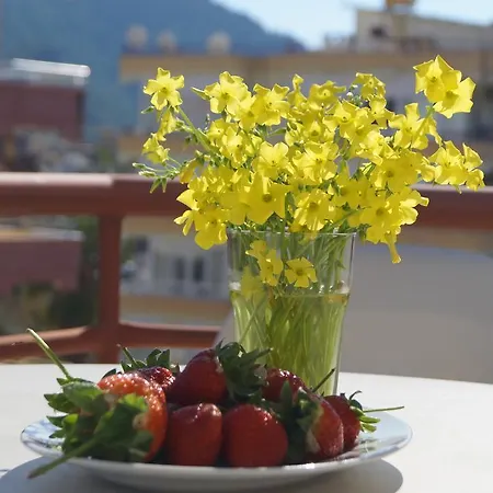 Elegant Baronessa Apart 3* Αλάνια